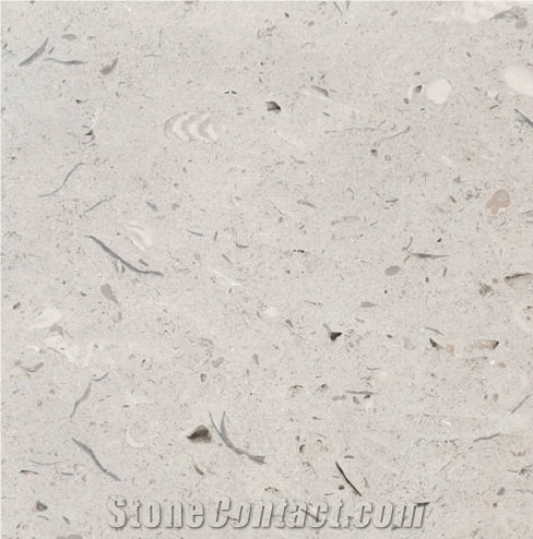 Coombefield Roach Limestone 