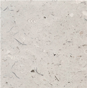 Coombefield Roach Limestone
