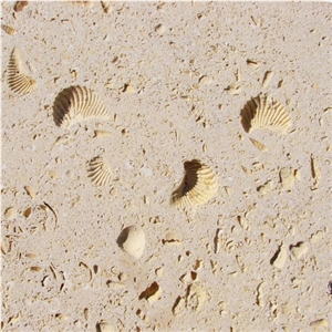 Cordova Shell Limestone