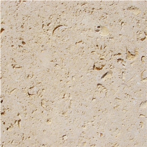 Cordova Shell Limestone