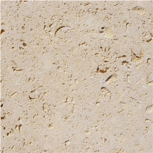 Cordova Shell Limestone Tile