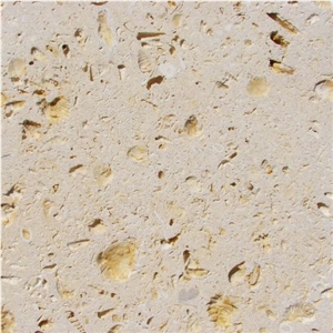 Cordova Shell Limestone