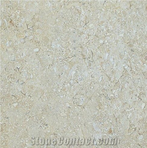 Cream Alden Limestone 