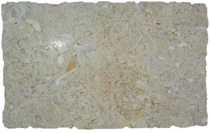 Crema Marinos Coral Stone Slab