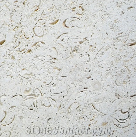 Crema Marinos Coral Stone Tile