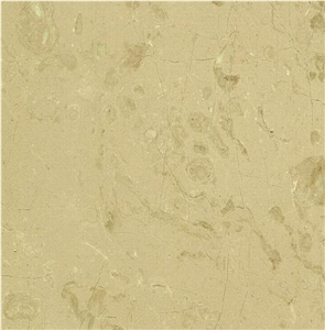 Crema Moca Limestone