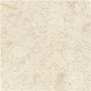 Crema Patricia Fossil Limestone