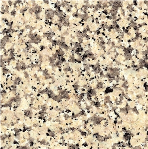 Crema Terra Granite