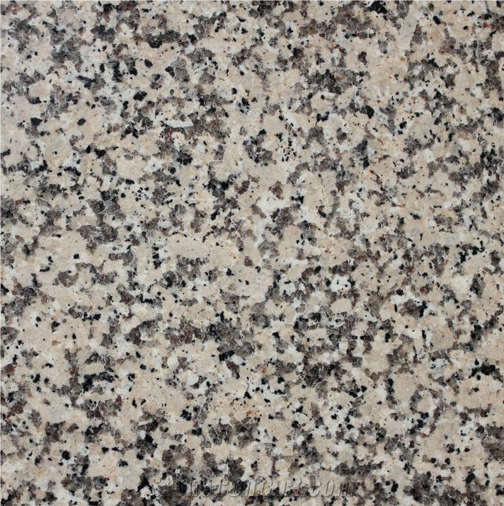 Crema Terra Granite Tile