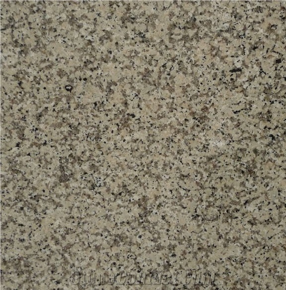 Crema Terra Granite Tile