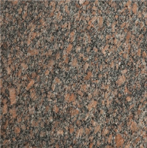 Deer Brown Granite 
