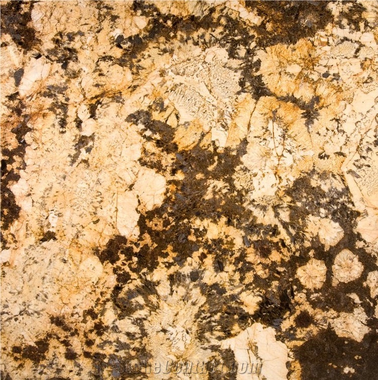 Delicatus Brown Granite 