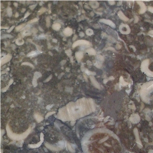Derbyshire Limestone