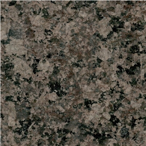 Desert Brown