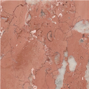 Diana Rose Marble Tile