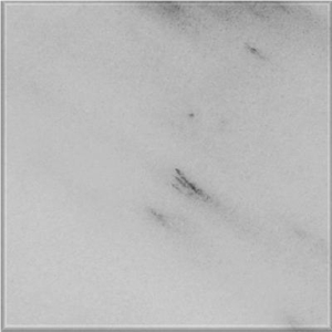 Disvato Semi White