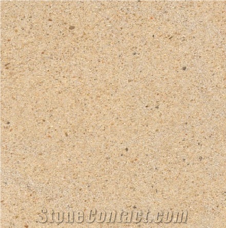 Dlugopole Sandstone 