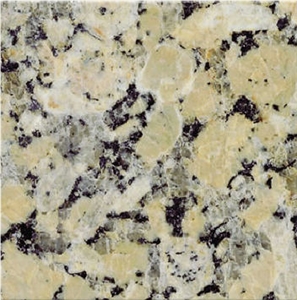 Dorado Conquistador Granite Slabs & Tiles