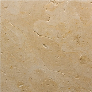 Dorado Tepexi Limestone Tile
