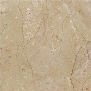 Dragon Beige Limestone