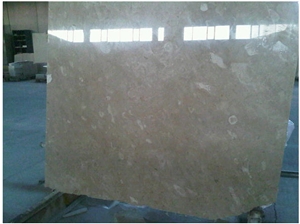 Eyra Fossil Mable Slab