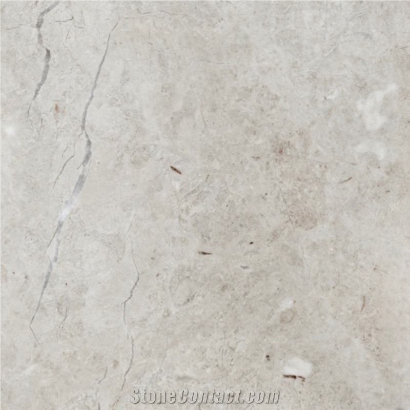 Forest Grey Marble 