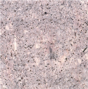 Fortune Cream Granite