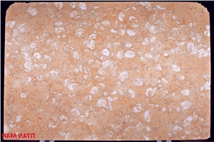 Fosilius Limestone