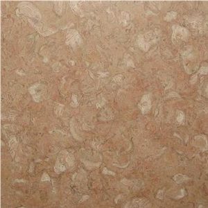 Fosilius Limestone