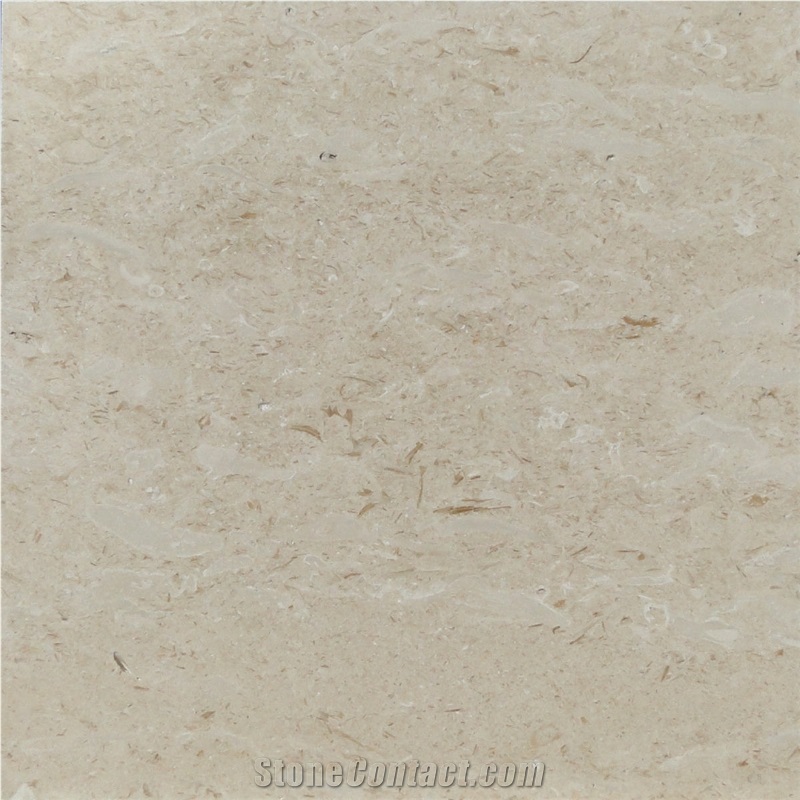Fossil Beige Marble 