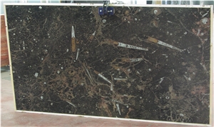 Fossil Brown Marble Slab