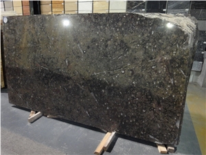 Fossil Brown Marble Slab