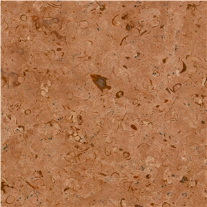 Fossil Gold Limestone Tile