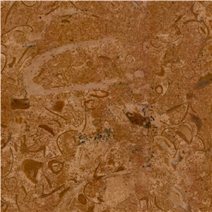 Fossil Gold Limestone Tile