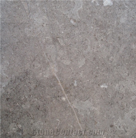 Fossil Gray Limestone Grey Limestone Stonecontact Com
