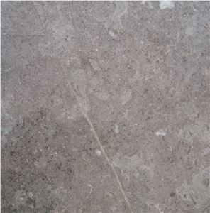 Fossil Gray Limestone