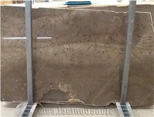Fossil Grey Limestone Slab