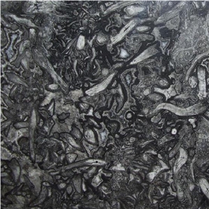 Fossil Grey Marble