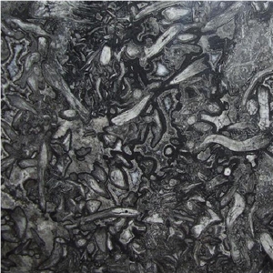 Fossil Grey Marble Tile