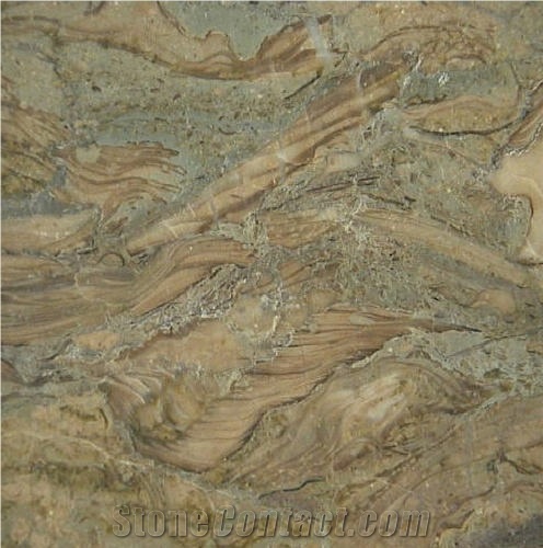 Fossil Marble 