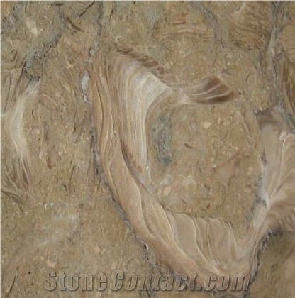 Fossil Marble Tile