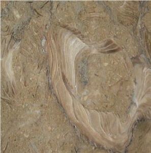 Fossil Marble Tile