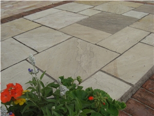 Fossil Mint Sandstone