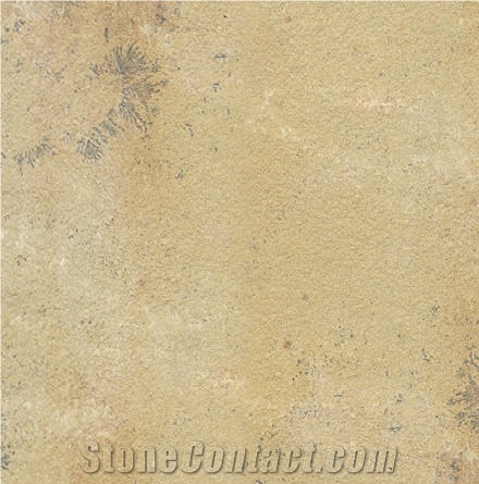 Fossil Mint Sandstone Tile