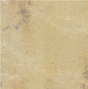 Fossil Mint Sandstone