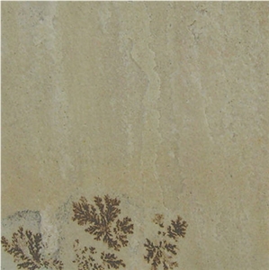 Fossil Mint Sandstone