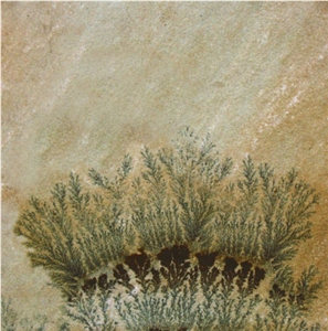 Fossil Sandstone