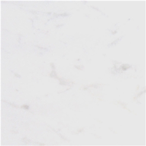 Fox Polar Marble