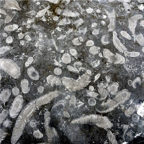 Frosterley Marble Tile