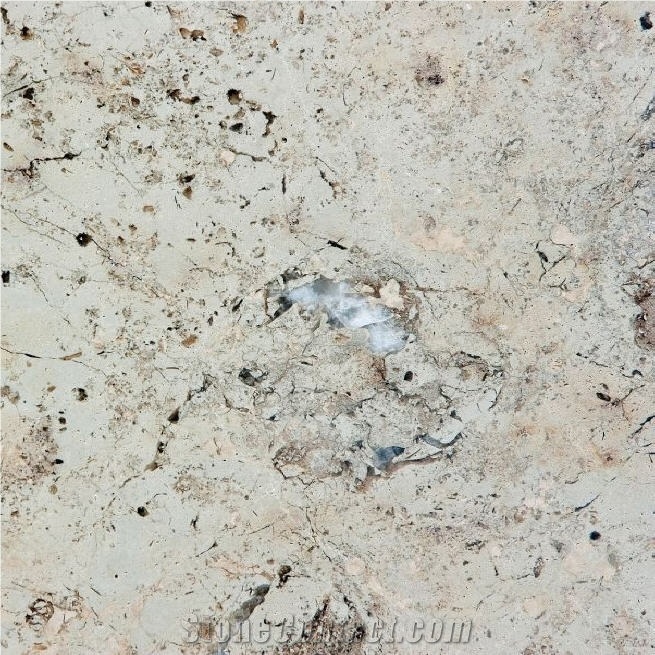 Gasell Limestone Tile